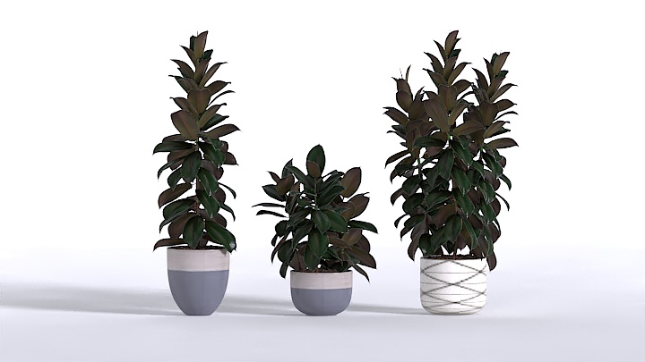 渲染模型_植物364