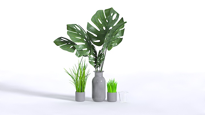 渲染模型_植物368