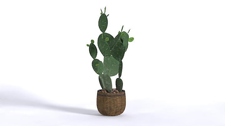 渲染模型_植物369