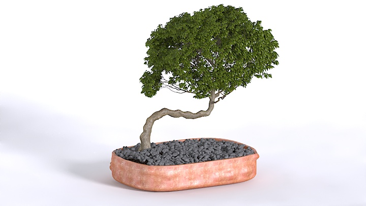 渲染模型_植物370