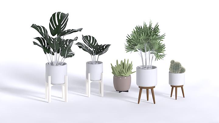 渲染模型_植物371