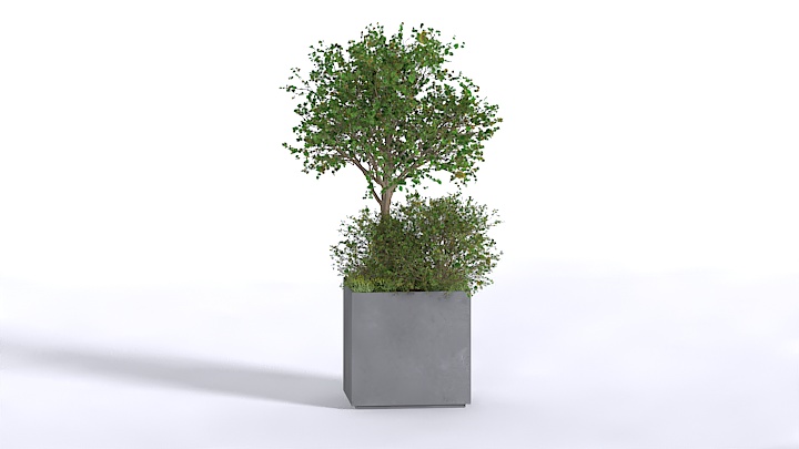 渲染模型_植物378