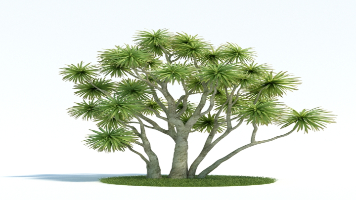 渲染模型_植物410