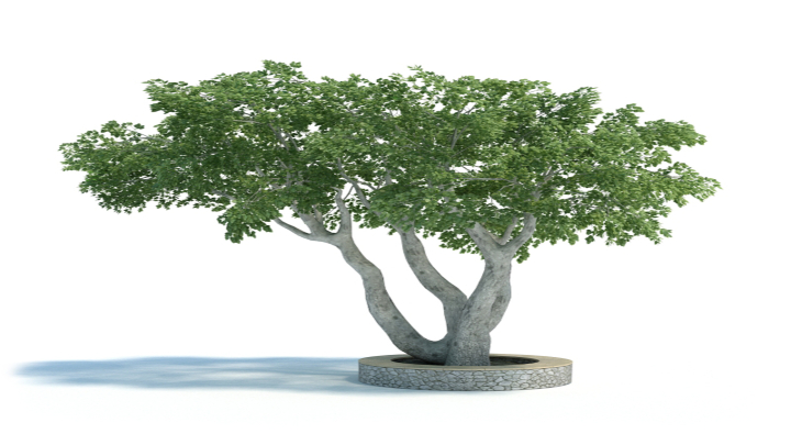 渲染模型_植物414