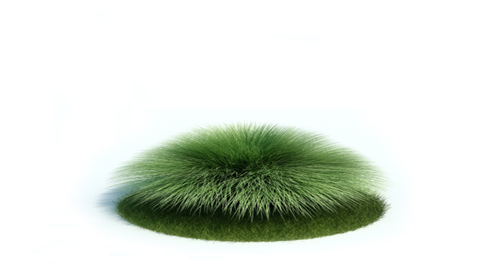 渲染模型_植物421