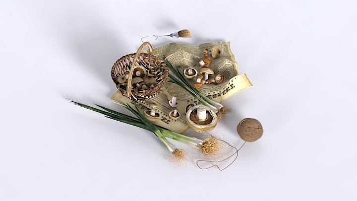 渲染模型_洋葱和蘑菇001