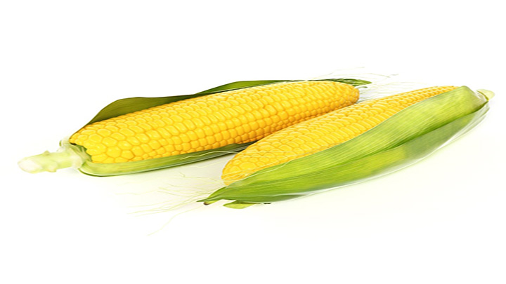 渲染模型_玉米001