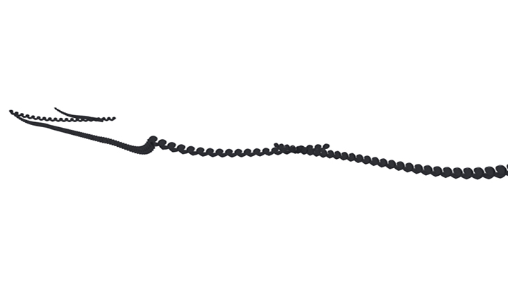 渲染模型_瓦当002