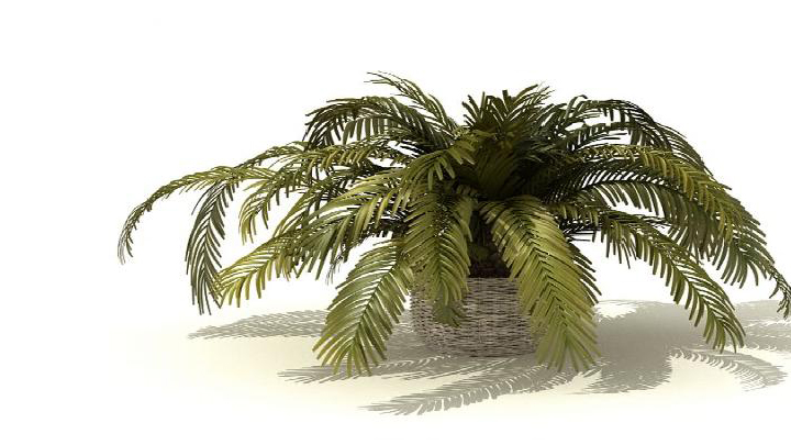 渲染模型_盆景027