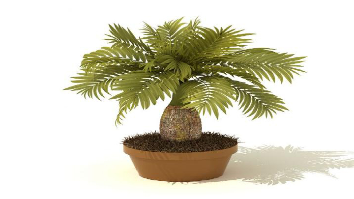 渲染模型_盆景028