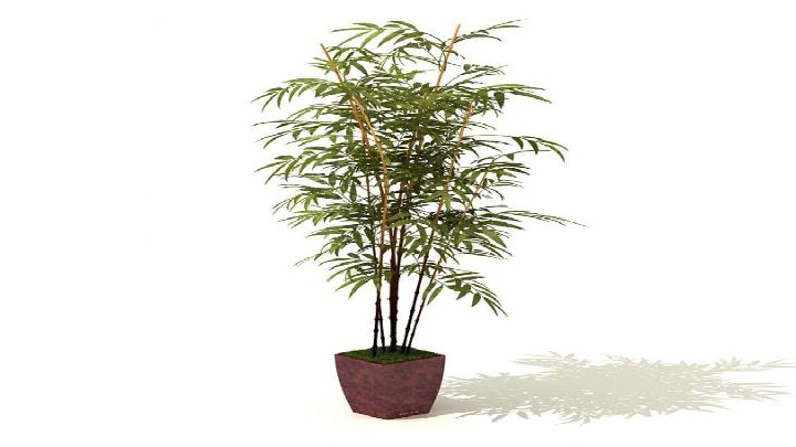 渲染模型_盆景035