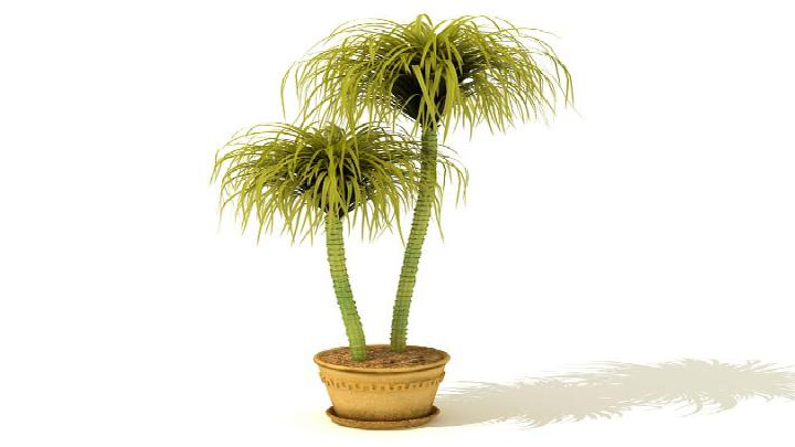 渲染模型_盆景038