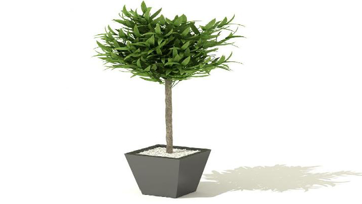 渲染模型_盆景059