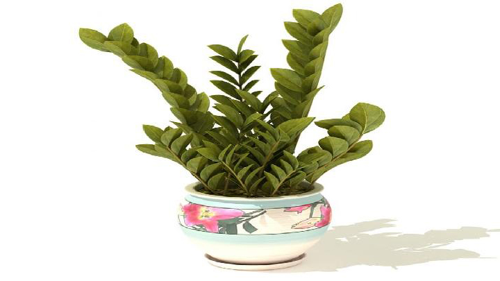 渲染模型_盆景062