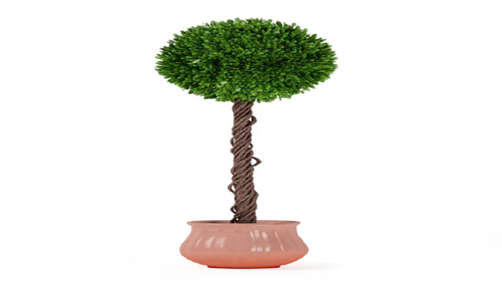 渲染模型_盆景103