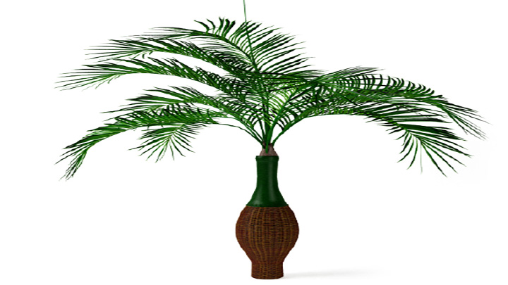 渲染模型_盆景123