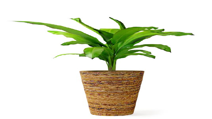 渲染模型_盆景128