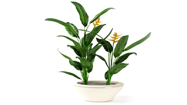 渲染模型_盆景145