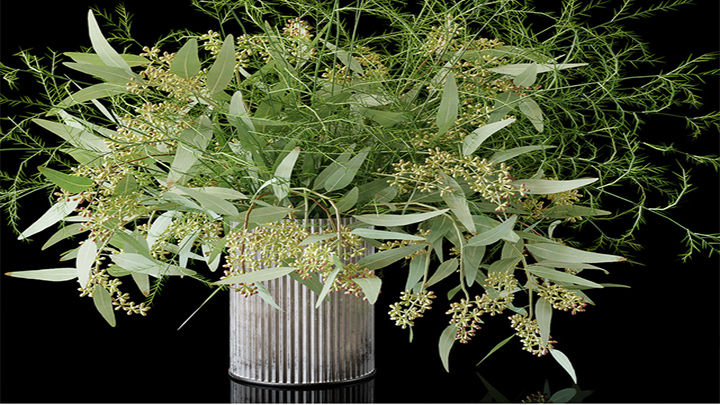 渲染模型_盆栽226