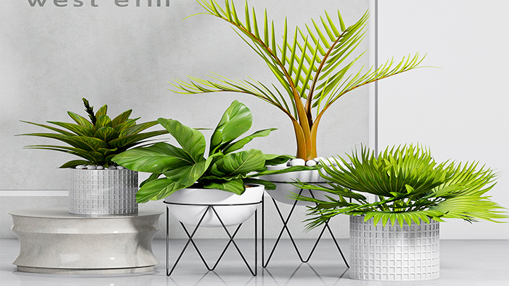 渲染模型_盆栽235