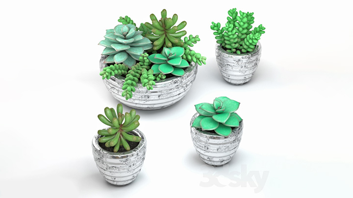 渲染模型_盆栽236