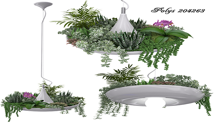 渲染模型_盆栽244