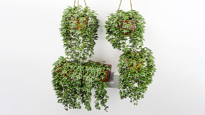 渲染模型_盆栽250