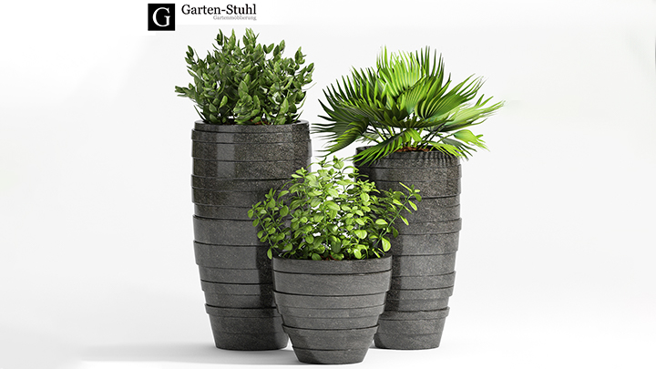 渲染模型_盆栽252