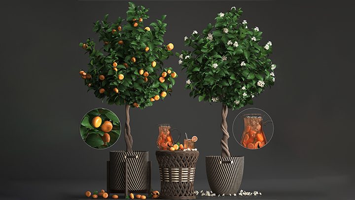 渲染模型_盆栽258