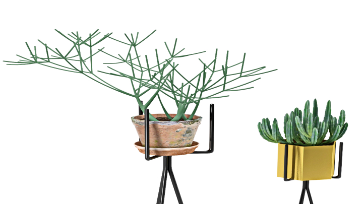 渲染模型_盆栽266