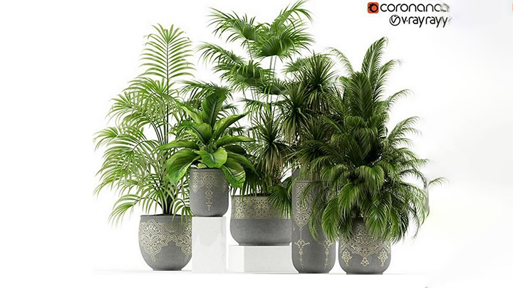 渲染模型_盆栽271