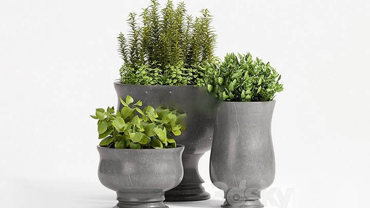 渲染模型_盆栽275