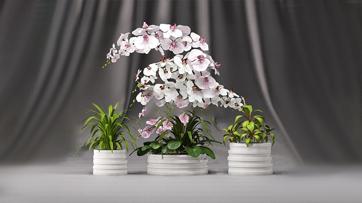 渲染模型_盆栽278