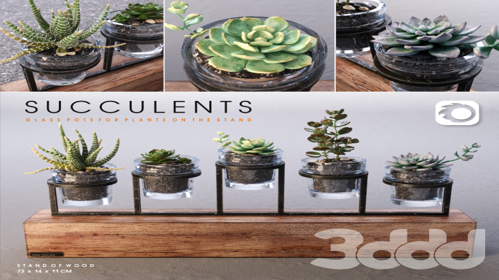 渲染模型_盆栽281