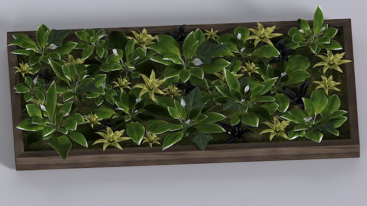 渲染模型_盆栽299