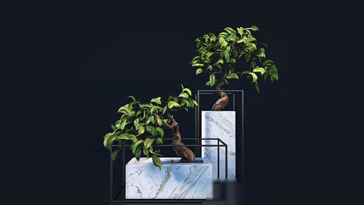 渲染模型_盆栽306