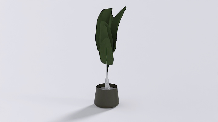 渲染模型_盆栽309