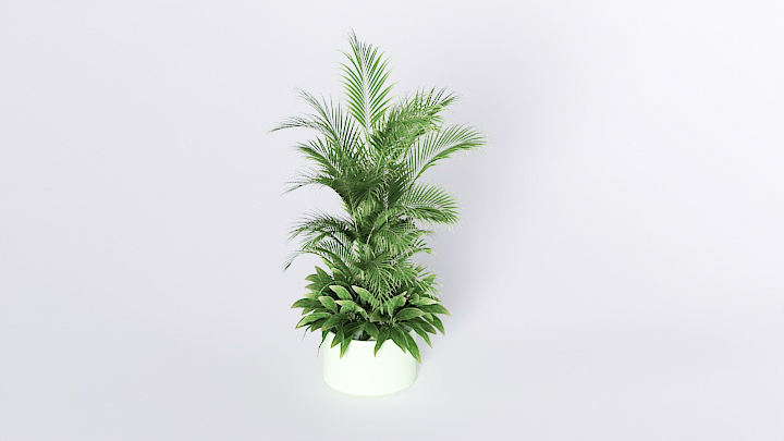 渲染模型_盆栽310