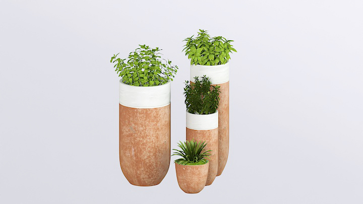 渲染模型_盆栽312