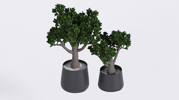 渲染模型_盆栽313