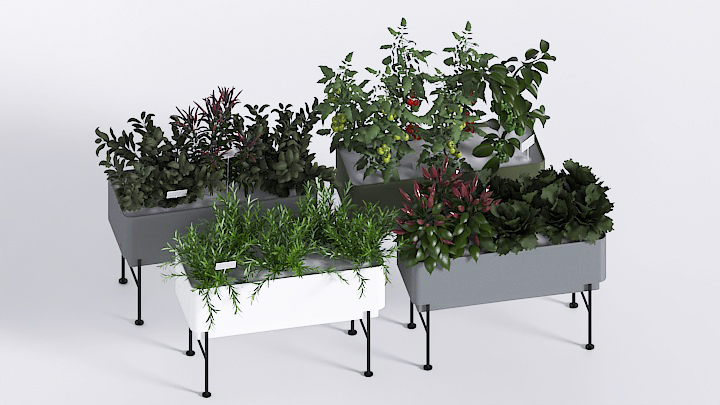 渲染模型_盆栽316