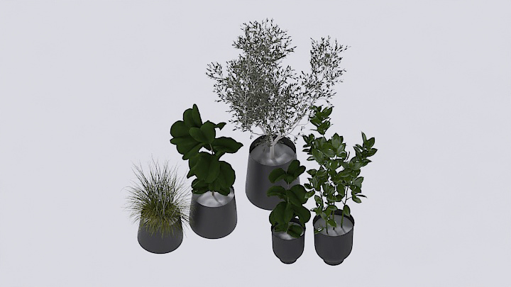 渲染模型_盆栽318