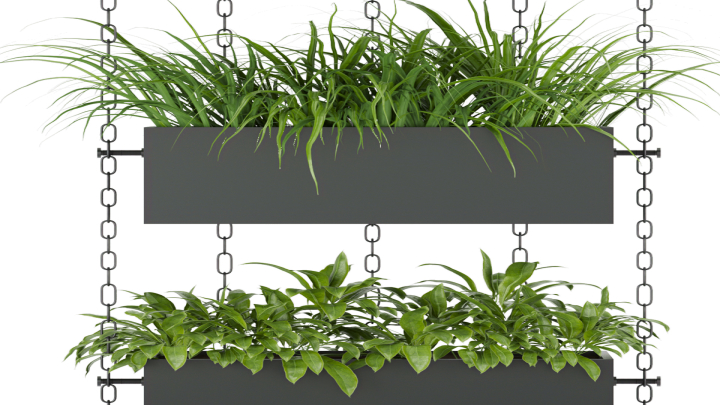 渲染模型_盆栽331