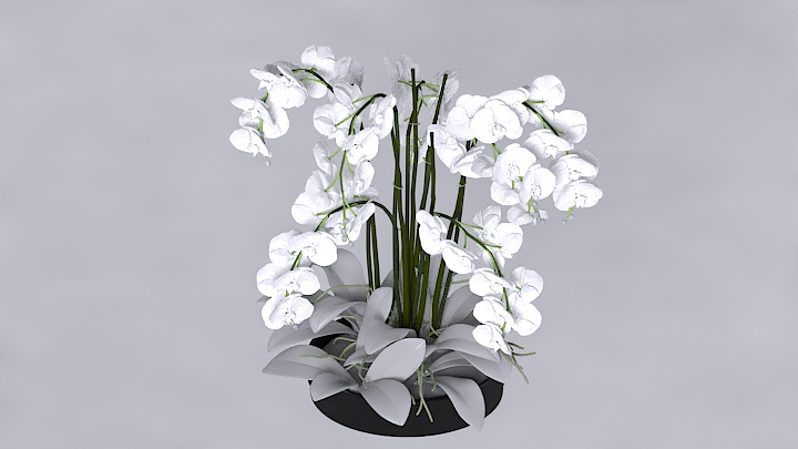 渲染模型_盆栽337