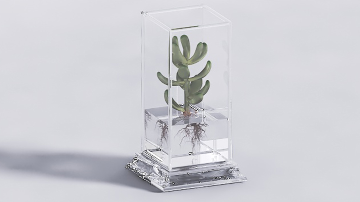 渲染模型_盆栽349