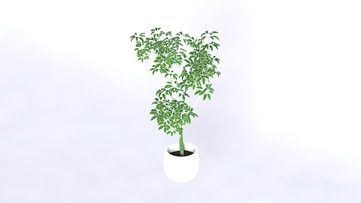 渲染模型_盆栽355