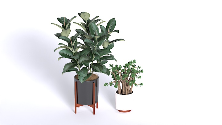 渲染模型_盆栽358