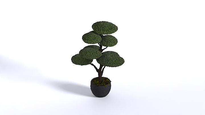 渲染模型_盆栽364