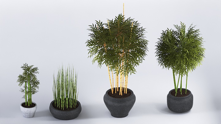 渲染模型_盆栽365