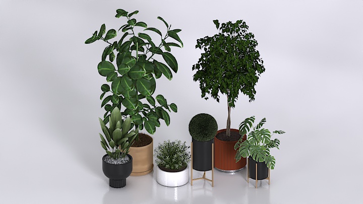 渲染模型_盆栽380